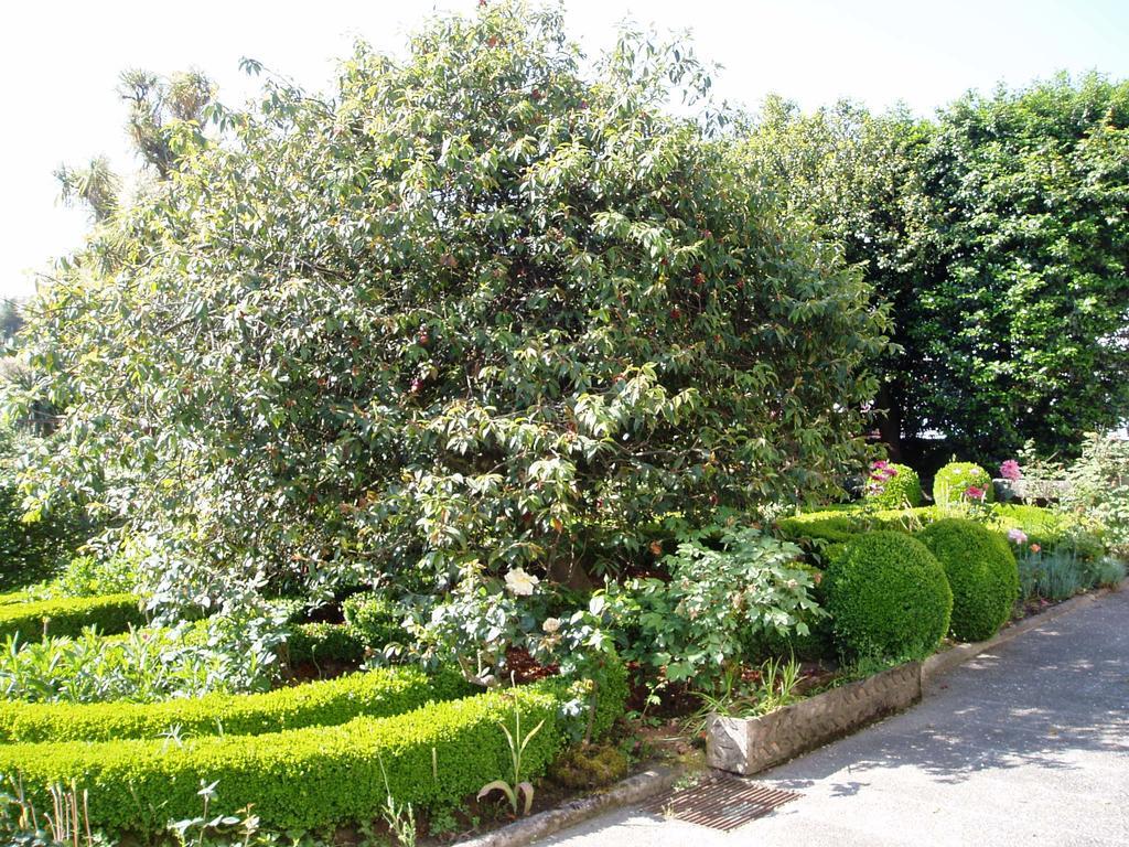 Bed and Breakfast Estrebuela House Paredes  Zewnętrze zdjęcie
